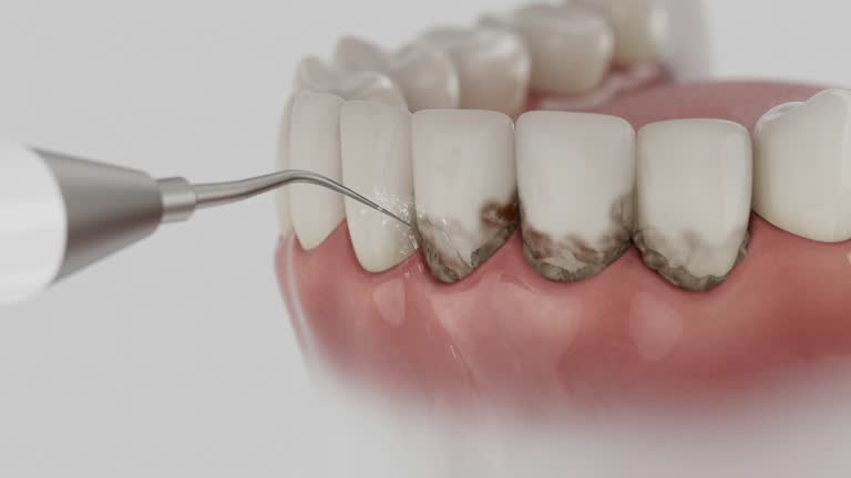 Reliable Dental contractor in Kingsford, MI by Dentist Open Now